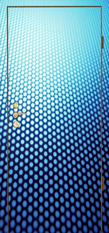 Фотография «Дверь с фотопечатью №10»